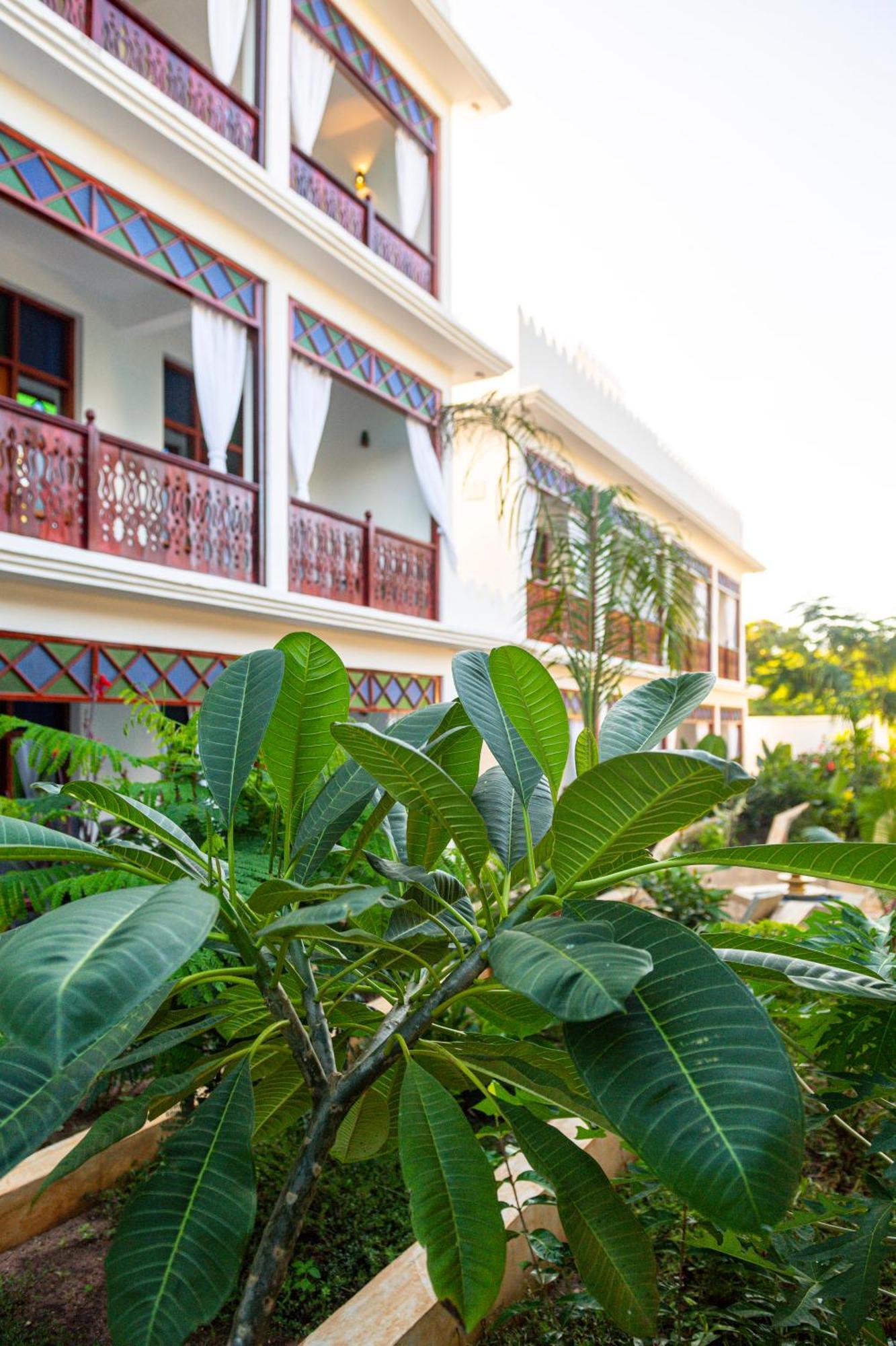 Tasneem Islamic Luxury Suites Jambiani  Exterior photo